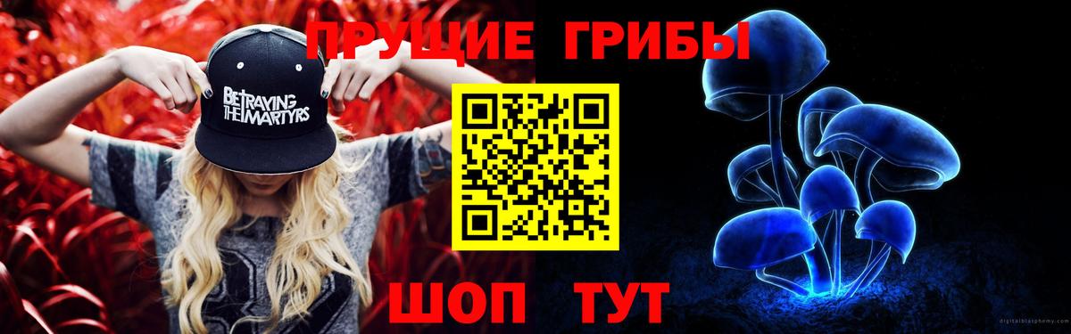 сколько стоит  Псилоцибиновые грибы прущие грибы  Вход с VPN  Алексеевка 